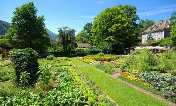 Ogród a zdrowie