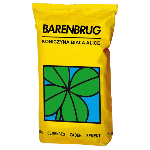 Koniczyna biała Alice Barenbrug Koniczyna biała Alice Barenbrug