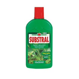 Nawóz w Płynie do Paproci i Roślin Zielonych 500ml Substral