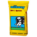 Trawa pastewna Barenbrug Milkway BG-1 Sprint