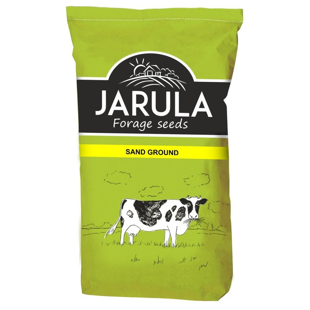 Trawa pastewna Sand Ground wieloletnia JARULA Trawa pastewna Sand Ground wieloletnia JARULA