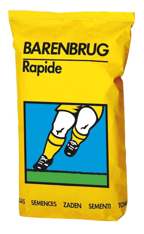 Nasiona trawa sportowa Barenbrug Rapide Nasiona trawa sportowa Barenbrug Rapide