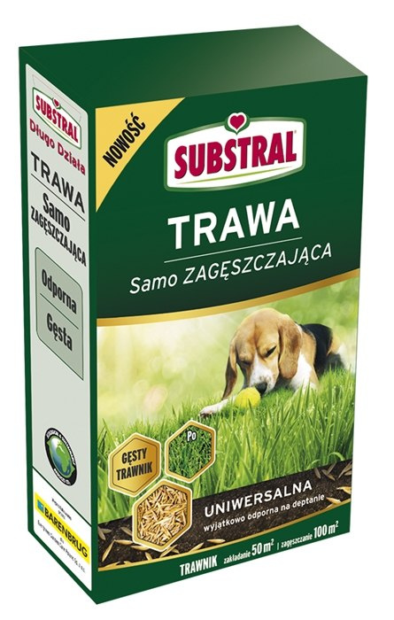 Trawa samo zagęszzczająca uniwersalna Substral Trawa samo zagęszzczająca uniwersalna Substral
