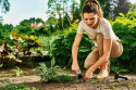 Widełki ogrodowe ERGO do spulchniania, sadzenia i pielenia Cellfast