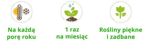 Dokarmiamy storczyki raz w miesiącu Dokarmiamy storczyki raz w miesiącu