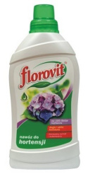 Nawóz mineralny do hortensji gwarantuje obfite i długie kwitnienie Florovit