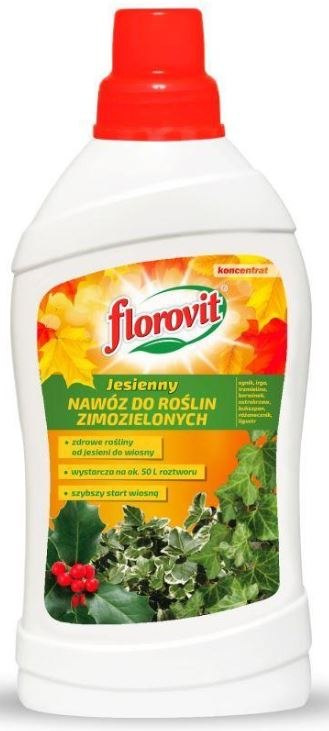 Nawóz jesienny w płynie do rośłin zimozielonych wzmacniający kondycję rośłin Florovit Nawóz jesienny w płynie do rośłin zimozielonych wzmacniający kondycję rośłin Florovit