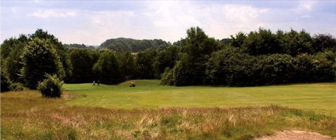 Pole golfowe - nasiona traw Pole golfowe - nasiona traw