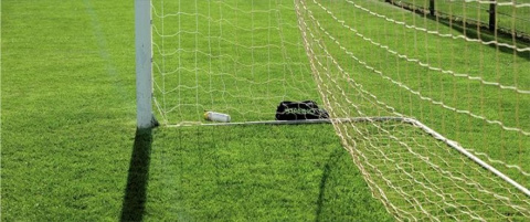 Trawa na bosiska sportowe Trawa na bosiska sportowe