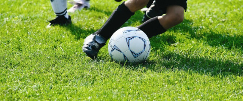 Trawa na boiska sportowe Trawa na boiska sportowe