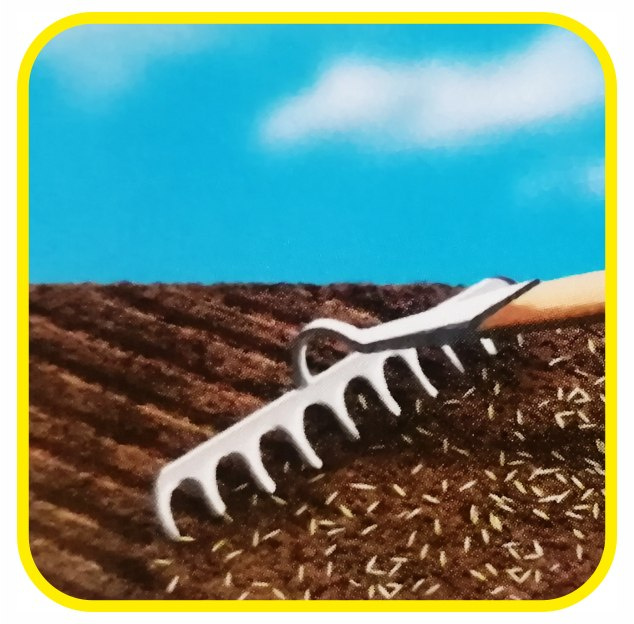 Zakładanie trawnika - przygotowanie grumtu