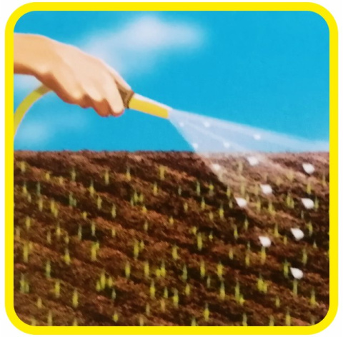 Trawa Barenbrug Odporna na Suszę Water Saver Dry Strong 1kg Trawa Barenbrug Odporna na Suszę Water Saver Dry Strong 1kg