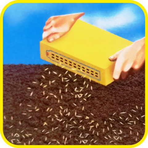 Trawa Barenbrug Odporna na Suszę Water Saver Dry Strong 1kg Trawa Barenbrug Odporna na Suszę Water Saver Dry Strong 1kg