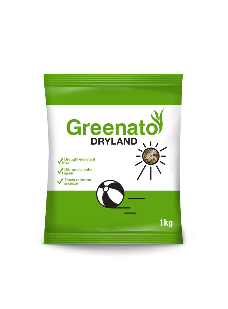 Trawa odporna na suszę idealna na suche lato Greenato Dryland Trawa odporna na suszę idealna na suche lato Greenato Dryland