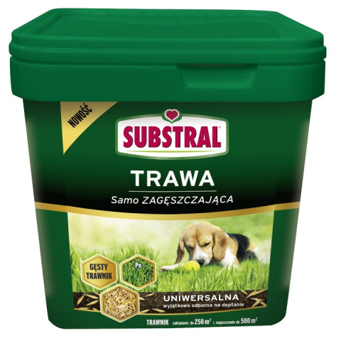 Trawa samo zagęszzczająca uniwersalna Substral Trawa samo zagęszzczająca uniwersalna Substral