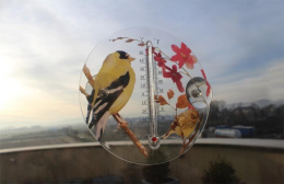 Termometr Zewnętrzny Ozdobny Okrągły 16,5cm Ptaki i Kwiaty