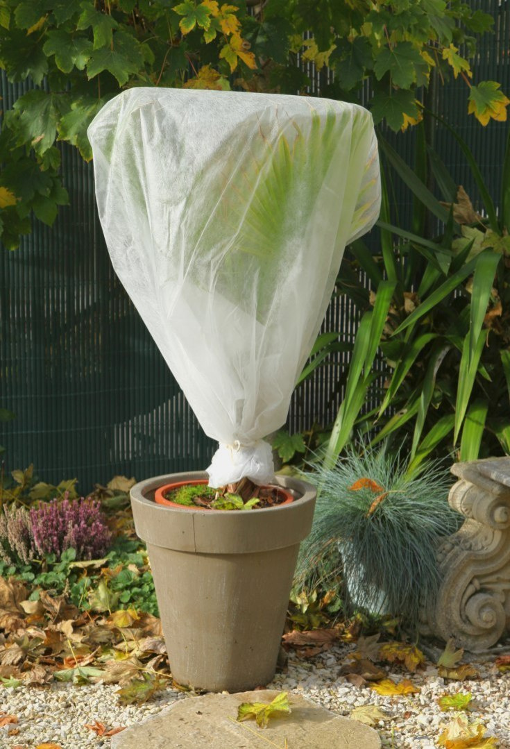Agrowłóknina biała skutecznie chroni rośliny przed zimnem i wiatrem