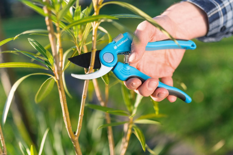 Sekator nożycowy IDEAL do cięcia świeżych gałęzi i pędów do 16mm Cellfast Sekator nożycowy IDEAL do cięcia świeżych gałęzi i pędów do 16mm Cellfast