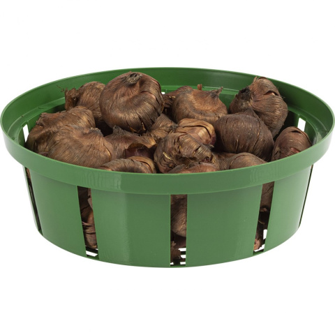 Koszyk na Cebule Kwiatowe 18cm 721903 Bioogród Koszyk na Cebule Kwiatowe 18cm 721903 Bioogród