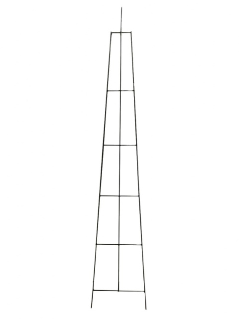 Podpora do Kwiatów i Roślin Piramida 40cm x 200cm Stalowa Malowana Zielona Tuchmet