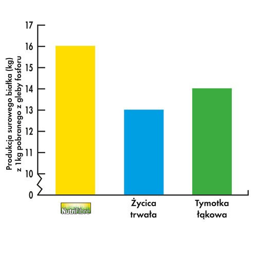 Barenbrug Milkway BG-3 Protein wyższa produkcja mleka Barenbrug Milkway BG-3 Protein wyższa produkcja mleka