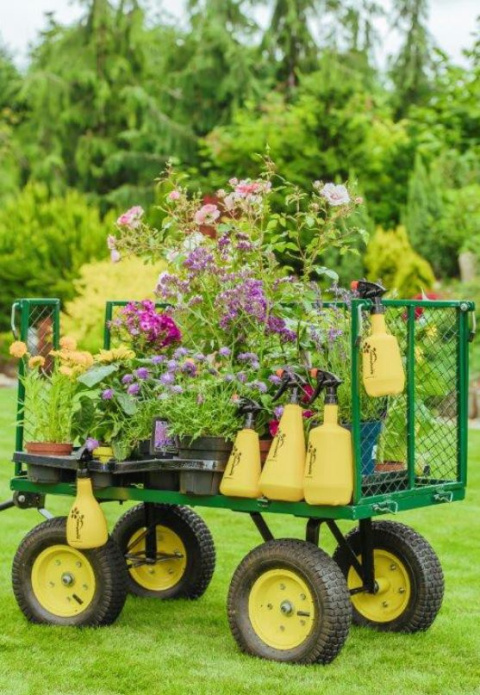 Opryskiwacz Sprayer Ręczny 1l z Regulowaną Dyszą Bratek Kwazar