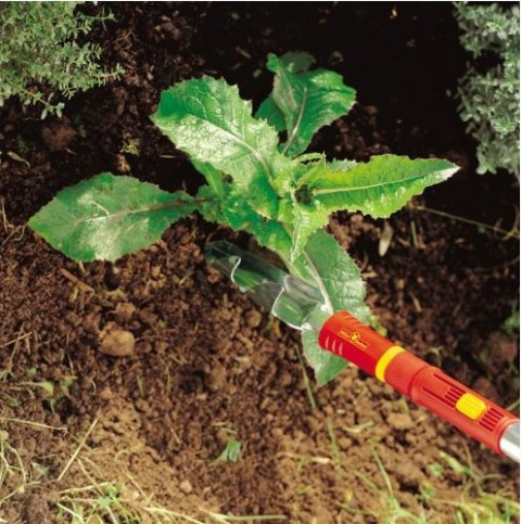 Pielnik 17cm x 4cm z Trzonkiem Aluminiowym 140cm System Multi Star iW-F Wolf-Garten