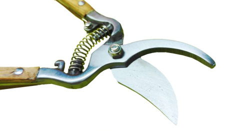 Sekator 1 Ręczny Nożycowy 21,5cm 59281 Kuty Gerley Sekator 1 Ręczny Nożycowy 21,5cm 59281 Kuty Gerley