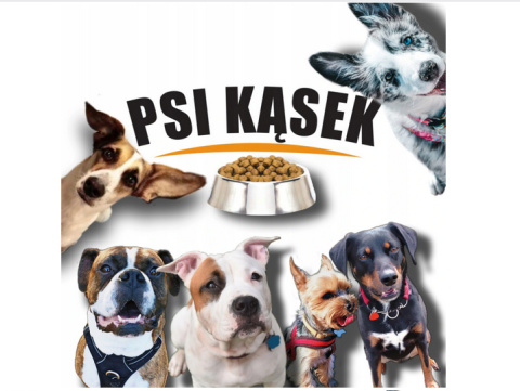 Karma Sucha Dla Psa z Wołowiną Psi Kąsek 20kg Biofeed Karma Sucha Dla Psa z Wołowiną Psi Kąsek 20kg Biofeed