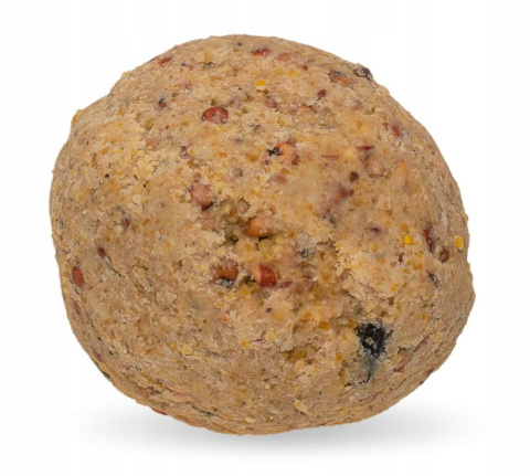 Kule Tłuszczowe Dla Ptaków z Łojem 90g x 35szt Wiaderko Nelson Garden Kule Tłuszczowe Dla Ptaków z Łojem 90g x 35szt Wiaderko Nelson Garden