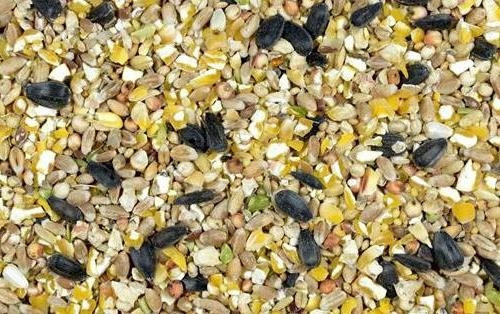 Karma Dla Dzikich Ptaków Naturalna 10kg bez GMO Karma Dla Dzikich Ptaków Naturalna 10kg bez GMO