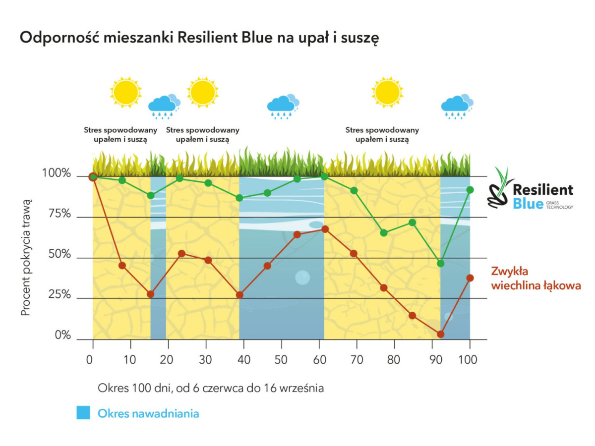 Trawa Barenbrug Na Suszę Resilient Blue Tough & easy - Ekstremalne Warunki 15kg