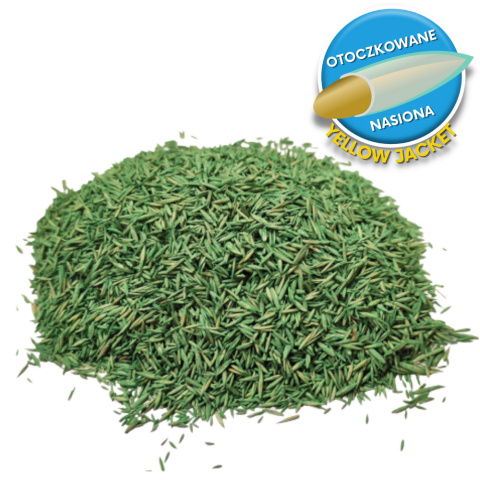 Trawa Na Ekstremalne Warunki Barenbrug Tough & Easy Resilent Blue 15kg Trawa Na Ekstremalne Warunki Barenbrug Tough & Easy Resilent Blue 15kg