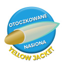 Trawa Barenbrug Na Suszę Resilient Blue Tough & easy - Ekstremalne Warunki 1kg Trawa Barenbrug Na Suszę Resilient Blue Tough & easy - Ekstremalne Warunki 1kg