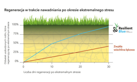 Trawa Uniwersalna Sportowa Barenbrug Play Sport Bar Power RPR Otoczkowana 5 kg Trawa Uniwersalna Sportowa Barenbrug Play Sport Bar Power RPR Otoczkowana 5 kg