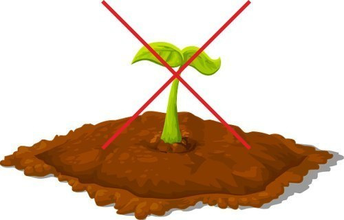 Agrotkanina Ściółkarska na Chwasty UV P-100 czarna 4,2x100m Czarna Agrotkanina Ściółkarska na Chwasty UV P-100 czarna 4,2x100m Czarna