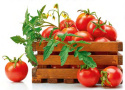 Kapsułki Nawozowe Do Pomidorów i Papryki Mineralne 210g Agrecol