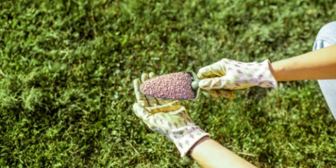 Nawóz Uniwersalny Ekologiczny 0-8-18 Mineralny Granulat 5kg Luvena Nawóz Uniwersalny Ekologiczny 0-8-18 Mineralny Granulat 5kg Luvena