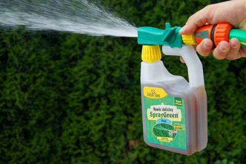 Nawóz Do Thui Dolistny Mineralny Płynny Zapas 950ml SprayGreen Zielony Dom Nawóz Do Thui Dolistny Mineralny Płynny Zapas 950ml SprayGreen Zielony Dom