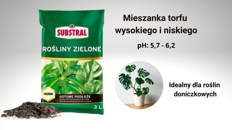 podłoże substral do roślin podłoże substral do roślin