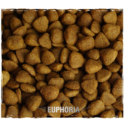 Karma Sucha Dla Psa Bezglutenowa z Jagnięciną Euphoria Gluten Free Junior Mini & Small 2kg Biofeed Karma Sucha Dla Psa Bezglutenowa z Jagnięciną Euphoria Gluten Free Junior Mini & Small 2kg Biofeed