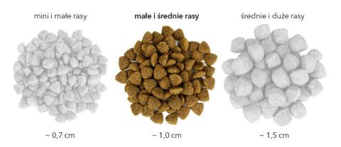 Karma Sucha Dla Psa Bezglutenowa z Jagnięciną Euphoria Gluten Free Junior Mini & Small 2kg Biofeed Karma Sucha Dla Psa Bezglutenowa z Jagnięciną Euphoria Gluten Free Junior Mini & Small 2kg Biofeed