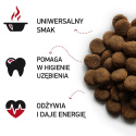Karma dla psa Nasz Pies adult wołowina 15kg