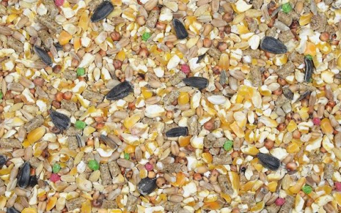Karma Dla Ptaków Ziarna O-Mix Eco 10kg GF Karma Dla Ptaków Ziarna O-Mix Eco 10kg GF