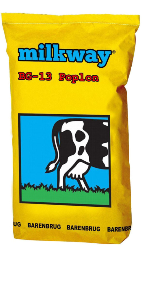Trawa Pastewna Barenbrug BG-13 Milkway Poplon 15kg Trawa Pastewna Barenbrug BG-13 Milkway Poplon 15kg
