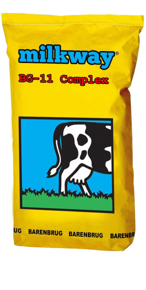 Trawa Pastewna Barenbrug BG-11 Milkway Complex 15kg Trawa Pastewna Barenbrug BG-11 Milkway Complex 15kg