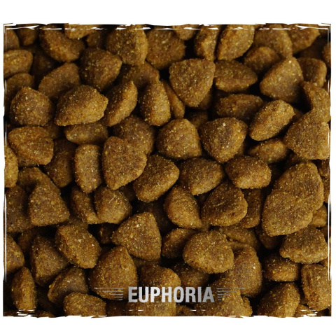Karma Sucha Dla Psa Bezglutenowa z Jagnięciną Euphoria Gluten Free Adult Small & Medium 12kg Biofeed Karma Sucha Dla Psa Bezglutenowa z Jagnięciną Euphoria Gluten Free Adult Small & Medium 12kg Biofeed