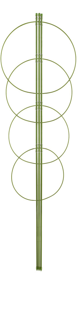 Podpora Do Kwiatów i Roślin Pierścieniowa 100cm 4 Pierścienie Biogród Podpora Do Kwiatów i Roślin Pierścieniowa 100cm 4 Pierścienie Biogród