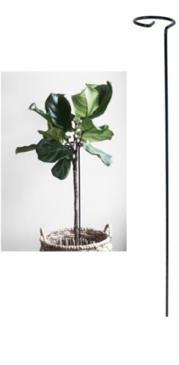 Podpora do Roślin Pojedyńcza H90cm