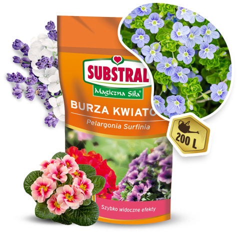 Nawóz Do Pelargonii Mineralny Koncentrat Krystaliczny 200g Magiczna Siła Substral Nawóz Do Pelargonii Mineralny Koncentrat Krystaliczny 200g Magiczna Siła Substral